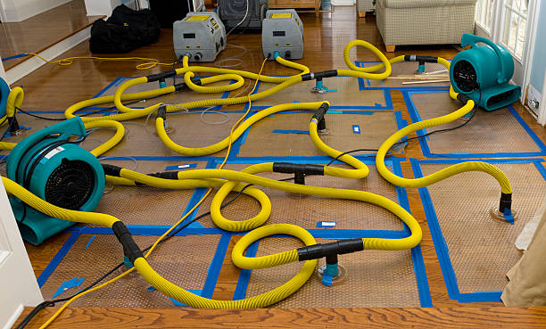Professional Storm Water Damage Restoration technician working in Malibu, CA